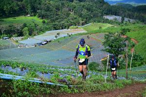 BIB: 
                            <button type="button" onclick="openModal(13380041)" class="btn btn-primary btn-sm float-right btn-popup" data-toggle="modal" data-target=".modal-high-quality">
                        <i class="fas fa-shopping-cart"></i> Add to Cart
                    </button>
                                            <button type="button" onclick="isThisMe(13380041, true)" class="btn btn-success btn-sm float-right btn-popup btn-isme hidden" data-toggle="tooltip" data-placement="bottom" title="นี่คือรูปของคุณใช่ไหม คลิกที่นี่เพื่อเอาเข้าอัลบั้ม">
                        <i class="fas fa-plus"></i> Add to album
                    </button>
                    <button type="button" onclick="isThisMe(13380041, false)" class="btn btn-warning btn-sm float-right btn-popup btn-isnotme hidden">
                        <i class="fas fa-ban"></i> Remove from album
                    </button>